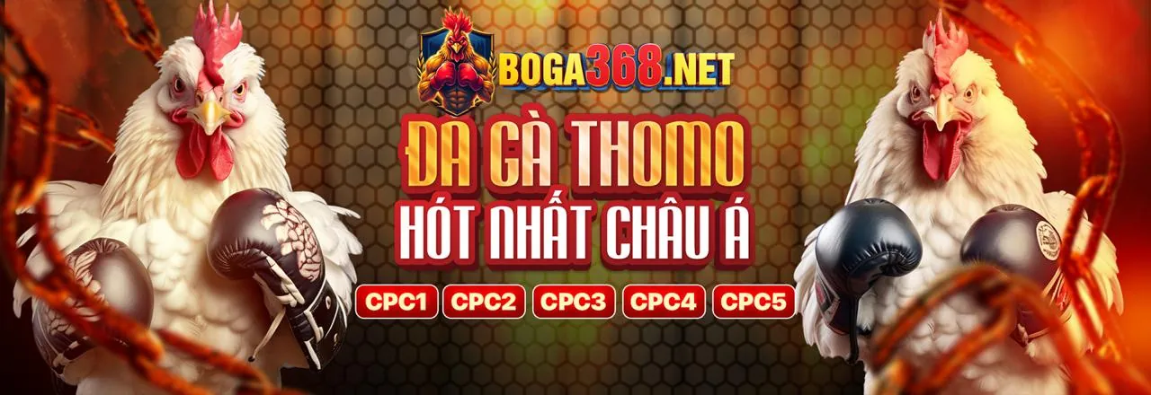Tương lai cá cược trực tuyến